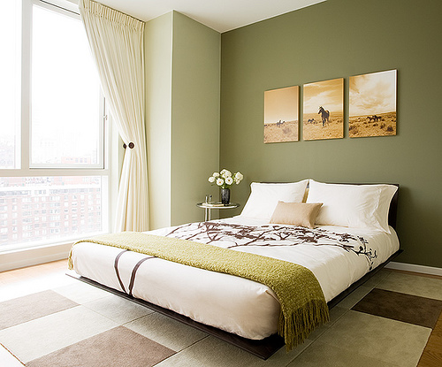 house cleaning, green cleaning, 60527, 60521